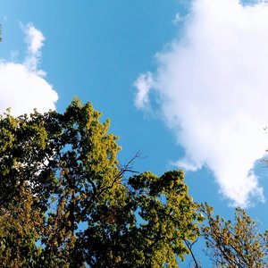Turqouise in Blue