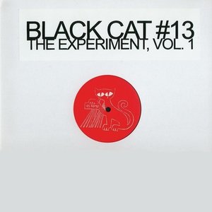 The Experiment Vol. 1