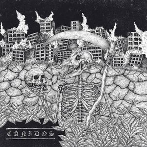 Cánidos / Animals Revenge