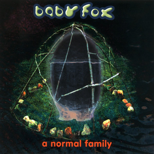 A Normal Family album cover