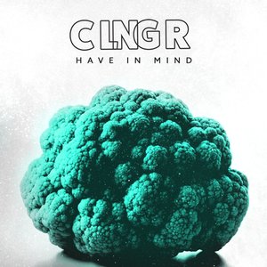 Clngr - Have In Mind Lyrics - Zortam Music