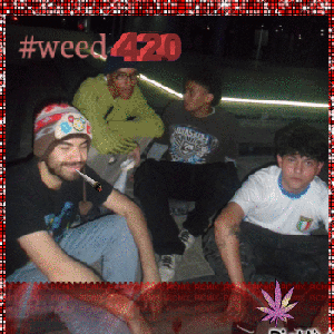 Avatar for weed420