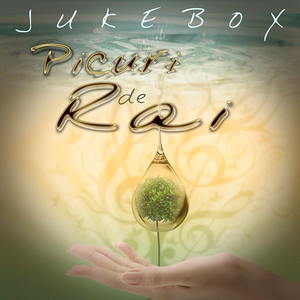 Artwork for Te Intreb