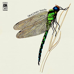 Artwork for The Weary Song