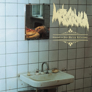 Glassed in Post-Mortem Reflections by Metrorrhagia