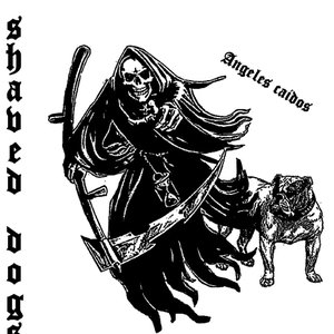 Angeles Caídos