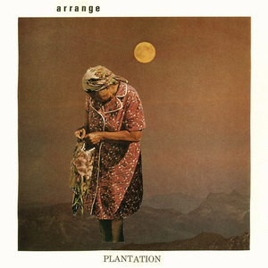 arrange