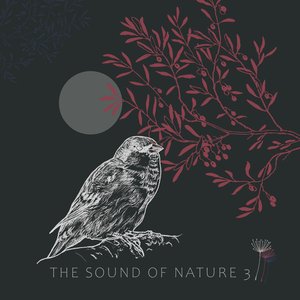 The Sound of Nature 3