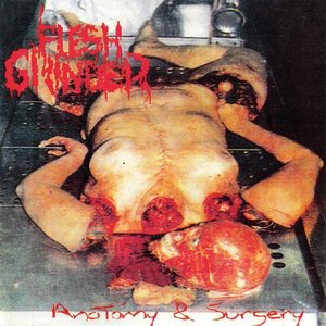 Anatomy & Surgery