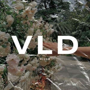 Bloom