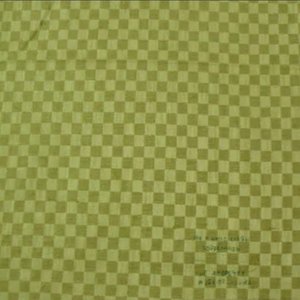 The Apoplexy Twist Orchestra / The Kinetic Crash Cooperation