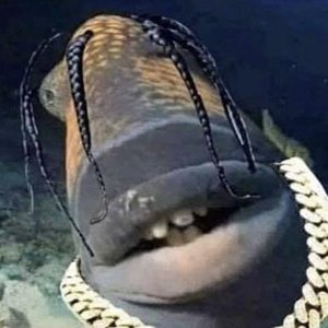 Avatar for iluvpete