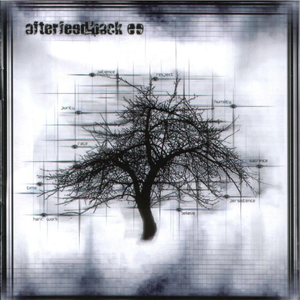 After Feed-Back