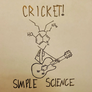 Simple Science by Cricket!
