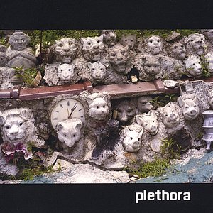 Plethora