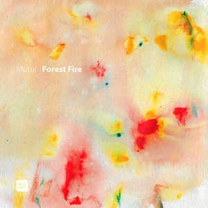 Forest Fire