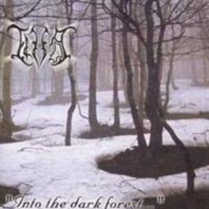 Into The Dark Forest