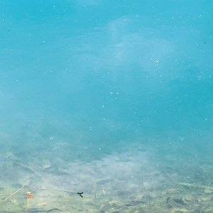 The Water