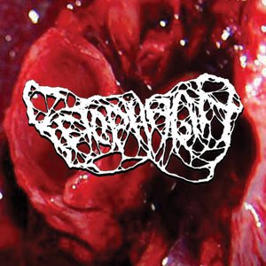 7 Macerating Episodes Of One’s Own Organs