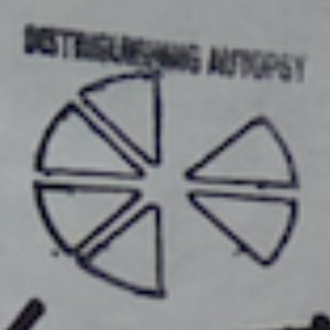 Avatar for Enterfant