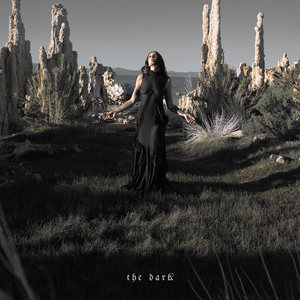 The Dark cover