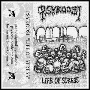 Life Of Stress