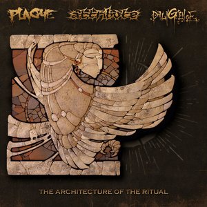 The Architecture Of The Ritual