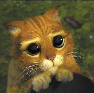 Avatar for Puss in Boots
