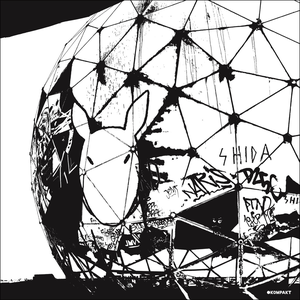 Artwork for Shortwave
