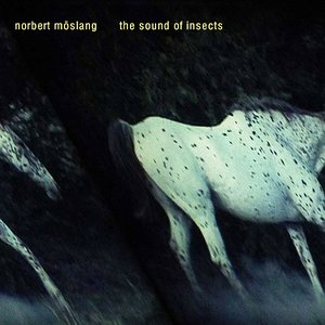 The Sound Of Insects