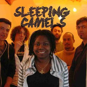 Avatar for Sleeping Camels