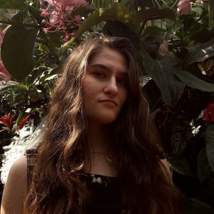 Avatar for Isabella Miremadi