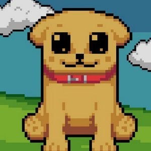 Avatar for solalive