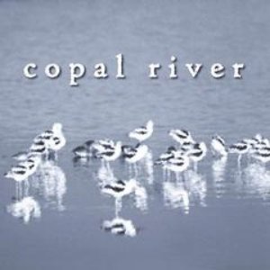 Avatar for Copal River