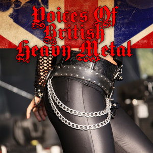 Voices Of British Heavy Metal album cover