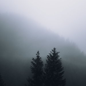 Avatar for Entfremdung