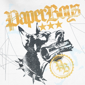 Paperboys - Paperboys - Zortam Music