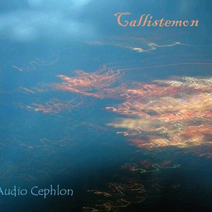 callistemon