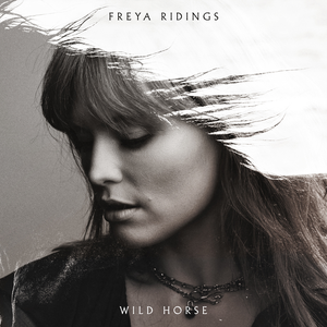Artwork for Wild horse