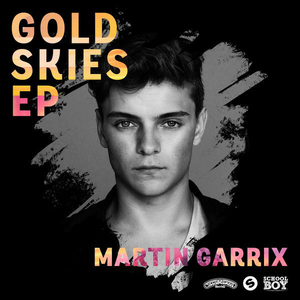 Martin Garrix
