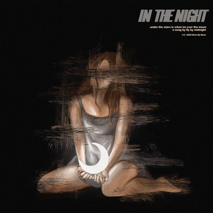 Artwork for In The Night