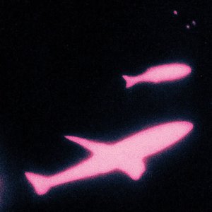 Weird Fishes