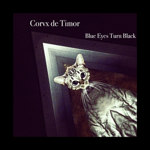 Blue Eyes Turn Black by Corvx De Timor