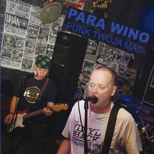 Punk twoja mać