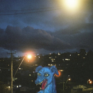 Odd Dog in the Capital