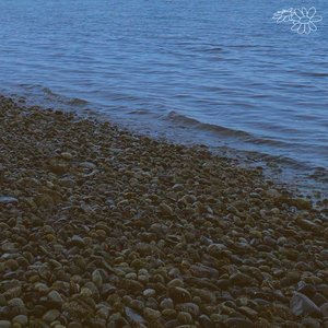 Tides - Single