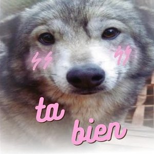 ta bien