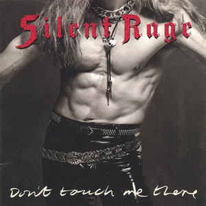 Dont Touch Me There album cover