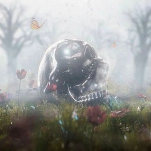 Avatar for Tonto