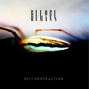 Self Destruction